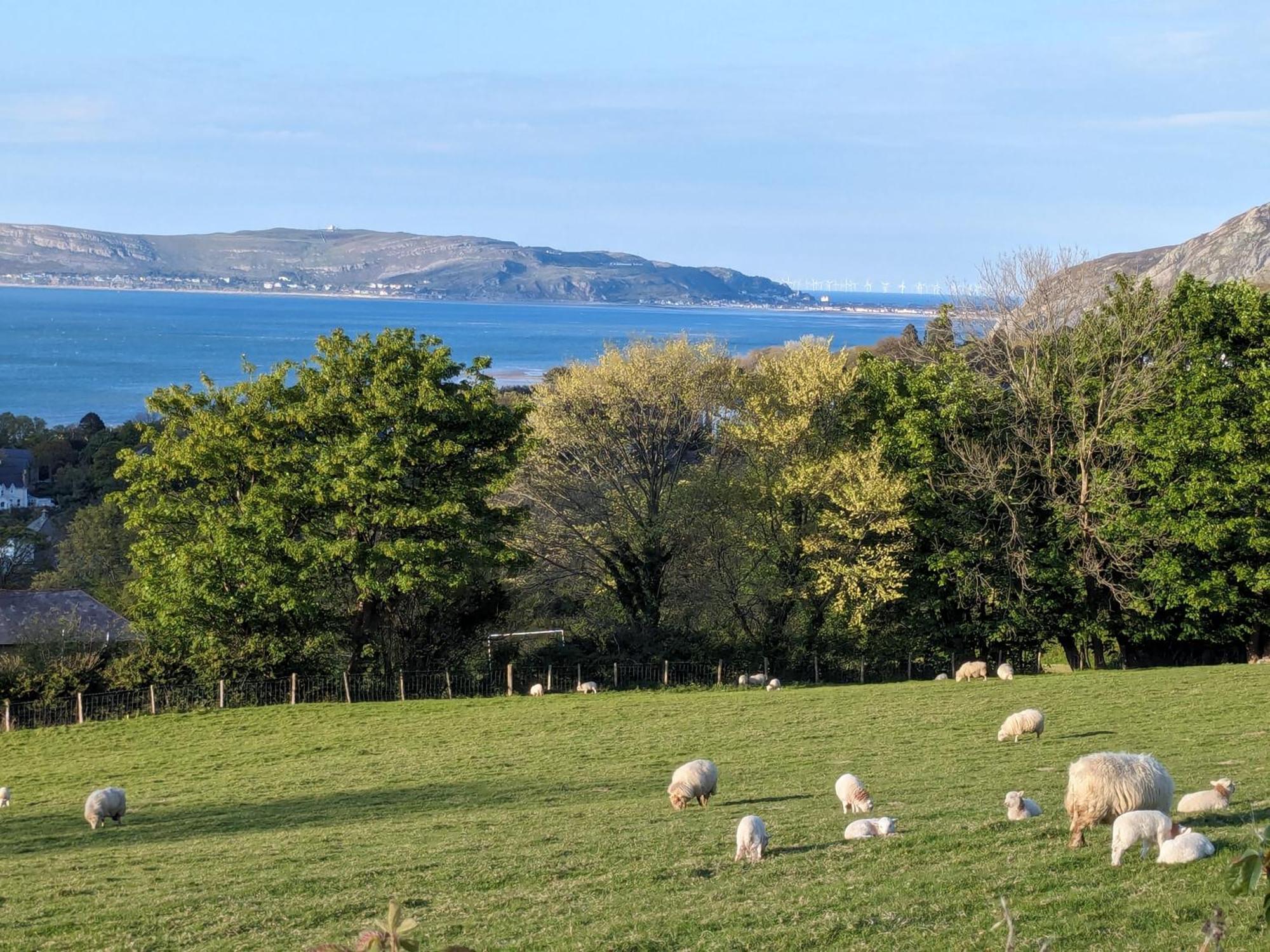 Fantastic Sea Views At Century'S Old Alma'S Cottage - Sleeps Up To 8 Guests Penmaenmawr Exterior photo